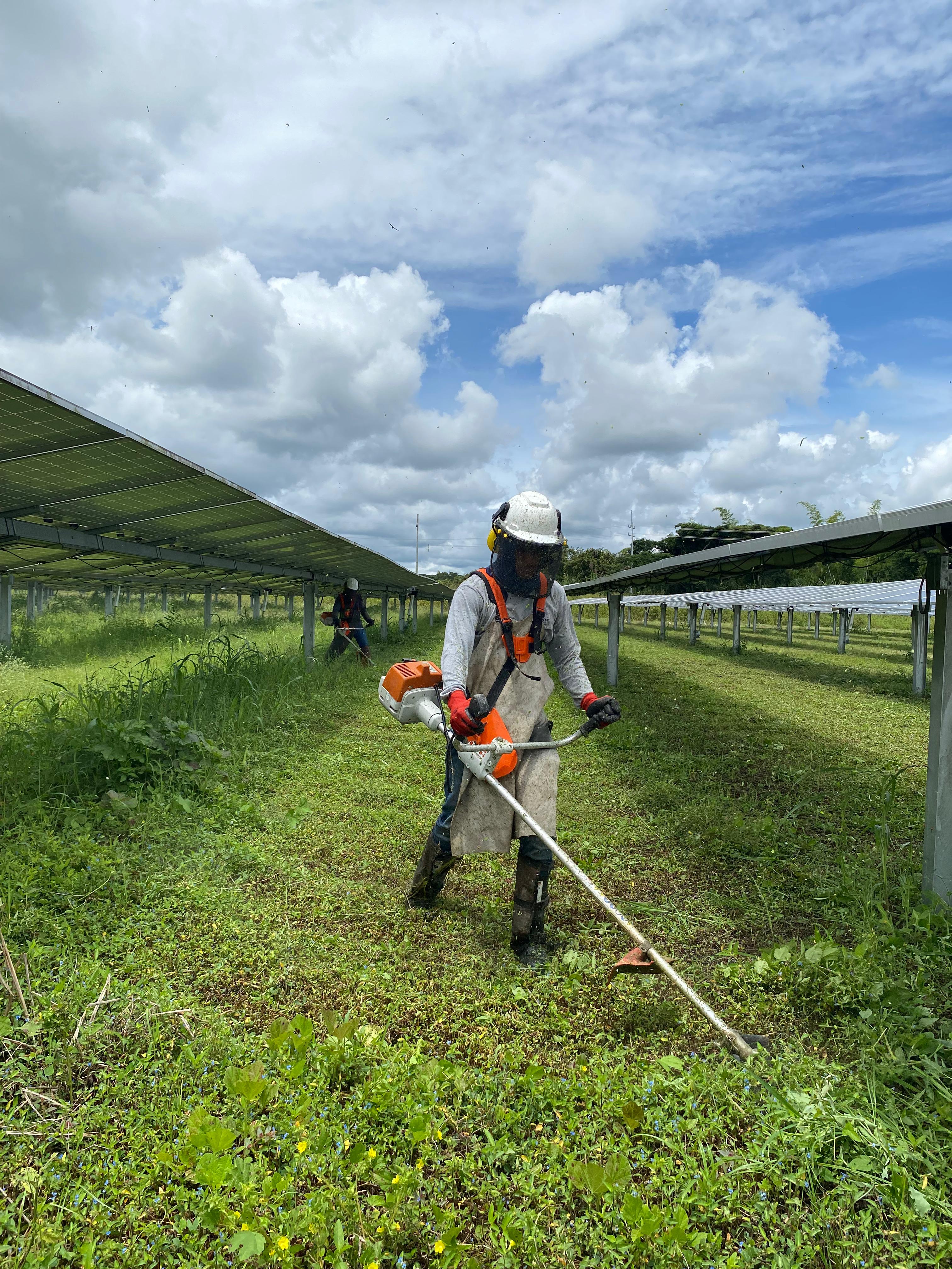 Servicio de rocería